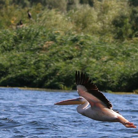 Delta Pontoon Otel Mahmudia Dış mekan fotoğraf