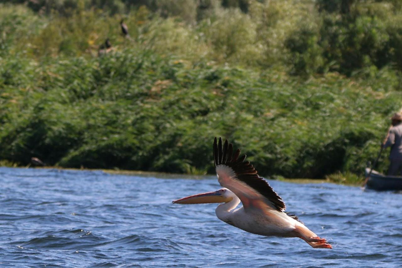 Delta Pontoon Otel Mahmudia Dış mekan fotoğraf